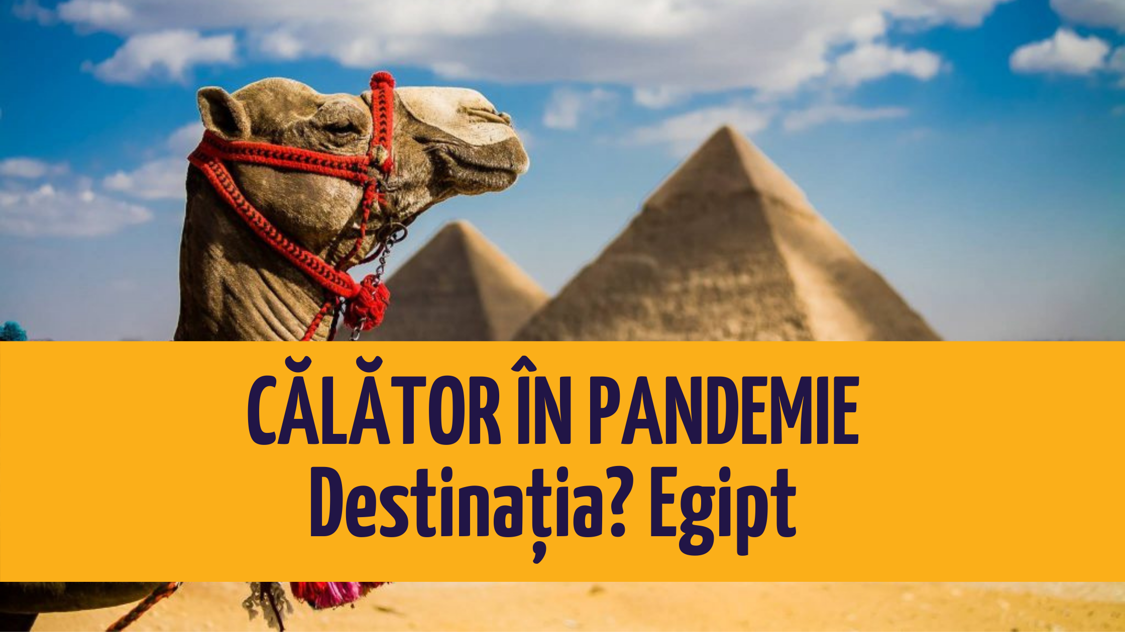 vacanta in pandemie, Vacanță în pandemie: Informații de călătorie în Egipt